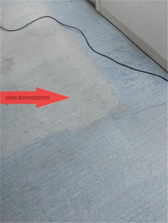 地毯2.jpg 地毯2.jpg