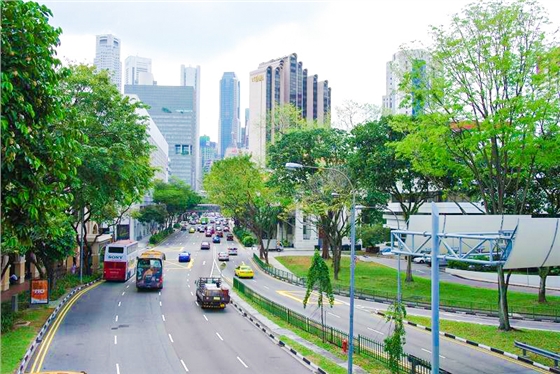 timg (1).jpg timg (1).jpg