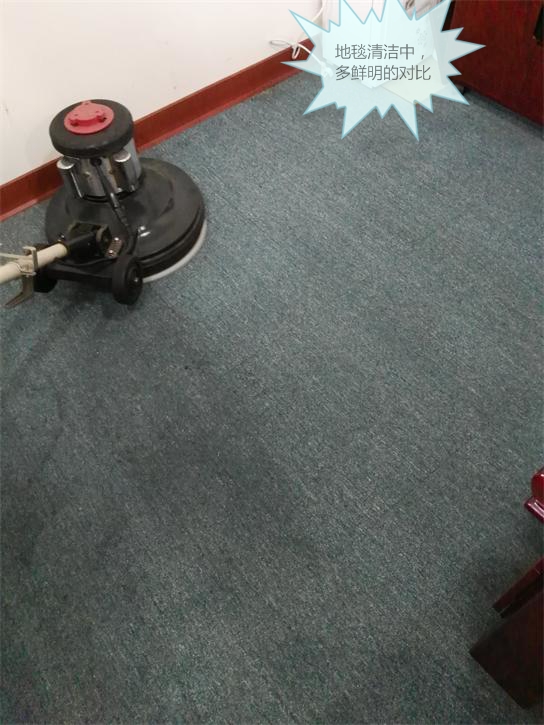 IMG_20161119_163425_看圖王.jpg IMG_20161119_163425_看圖王.jpg