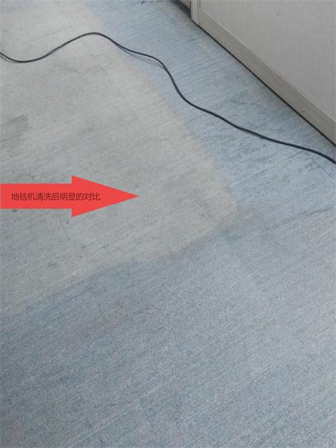 地毯2.jpg 地毯2.jpg